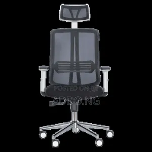 Home and Office Work Chair