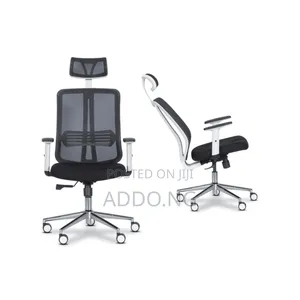 Home and Office Work Chair