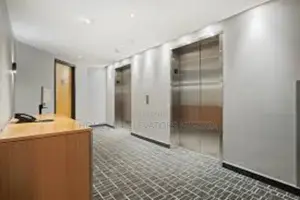 Commercial Passenger Lift With Modern Style