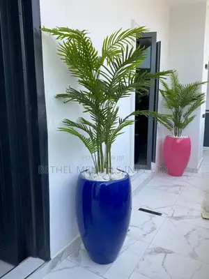 Six Stem Palm Plants Potted With 80cm Classic Fiberglass Pot