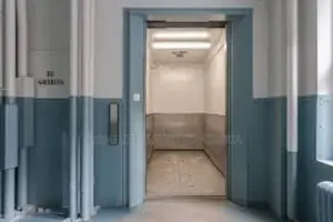 Stainless Steel Passenger Elevator for Commercial Use
