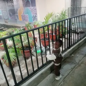 Live Potted Plant for Home,Office Beautification