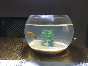 3 Liters Fishbowl Kit With One Fish