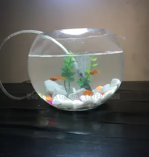 3 Liters Fishbowl Kit With Battery Pump and 2 Fishes