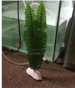 Aquarium Green Plant