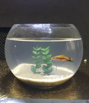 Fishbowl Kit With One Fish - 3liters Bowl