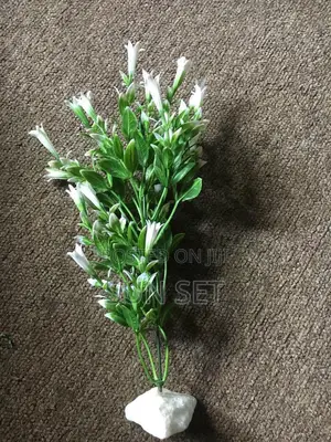 Aquarium/Fishbowl White/Green Plant