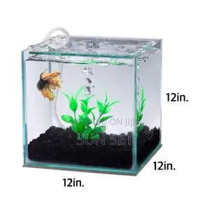12 Inches Square Tank Complete Aquarium Set