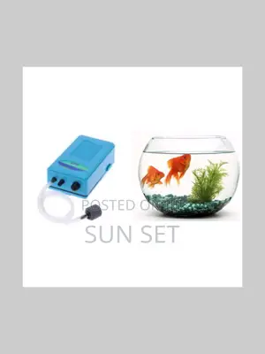 10 Liters Fishbowl Kit + 2 Fishes + Battery Airpump
