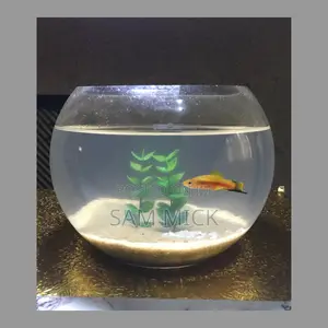 3 Liters Sand Fishbowl Kit With One Fish