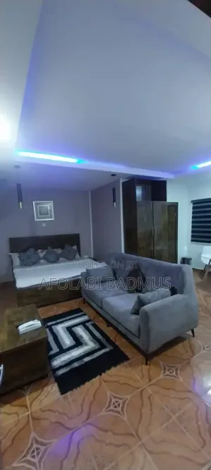 Luxury Furnished and Serviced Big Studio Apartment