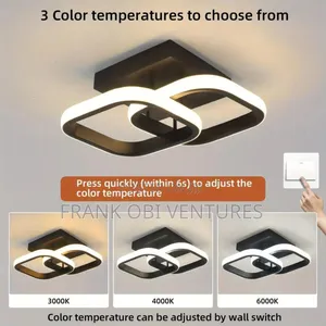 Ceiling Fittings Luxury