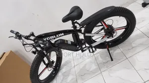 Electric Bicycle