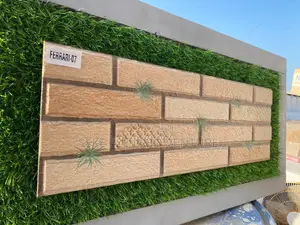 30* 60 Wall Tiles