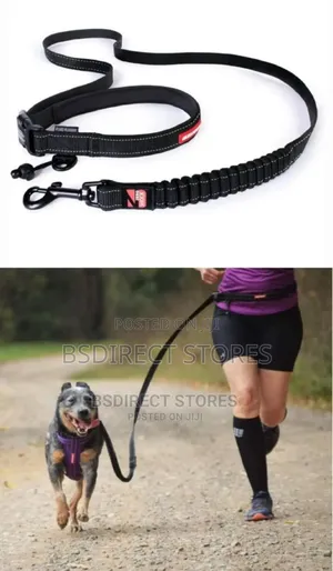 Ezydog BLACK Road Runner Lengthy Zero Shock Dog Leash