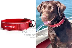 Ezydog Neo Classic Dog Collar Strong Reflective RED X- Large