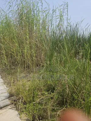 Available Land for Sale at Orange Island Lekki