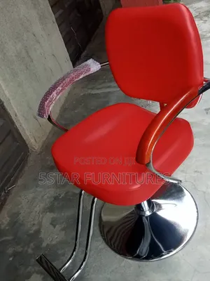 Salon Chair