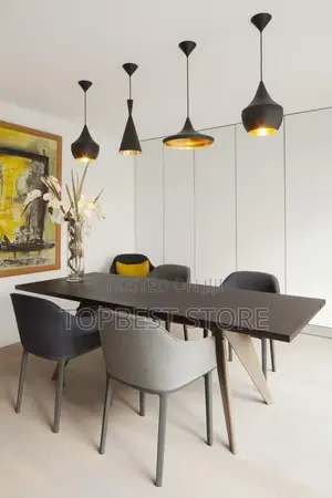 Luxury Homes Single Dropping Pendant Light