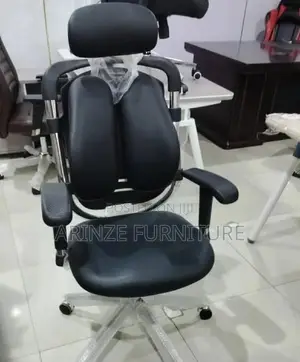 Ergonomic Chair With Lumbar Support