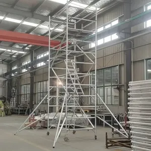 Scaffolding 10 Meters Working Height 300kg