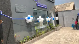 Decoration for Business Opening Ceremony