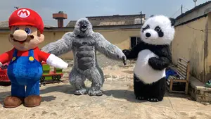 Combo of Big Mascot Available for Rents Sales