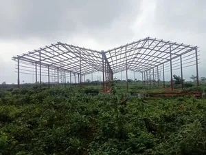 Warehouse Structural Fabrication,Warehouse Construction Exp.