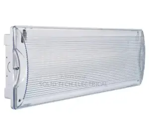 Emergency Light