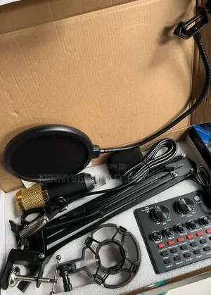 Professional Microphone