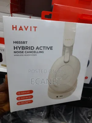 Havit H655BT Pro Hybrid ANC Bluetooth Headphone