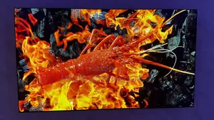 Premium 2023 Slim 55" LG G-Class OLED EVO Smart TV