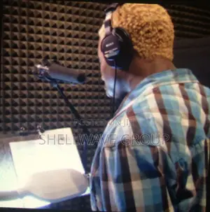 Professional Voice Overs for Your Advertisement