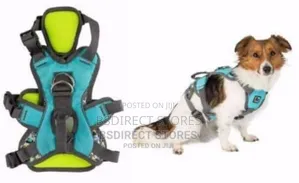 3 Peaks Lime Blue Small Ultra Fit Excursion Dog Harness