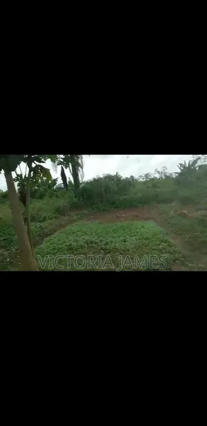 6.5 Plots of Land