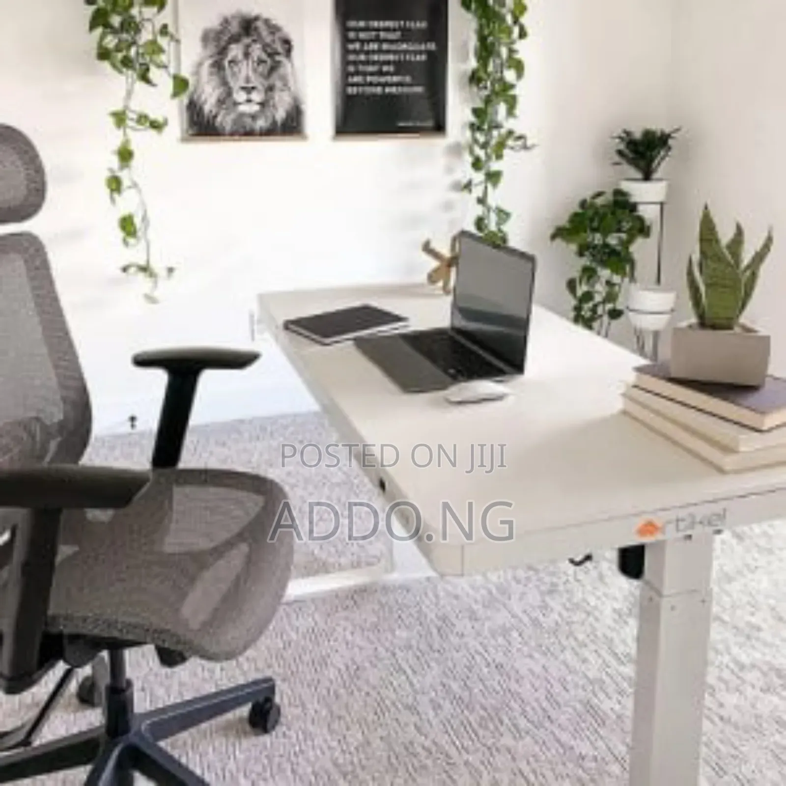 Glass Electric Adjustable Desk With Charging Plug and Drawer
