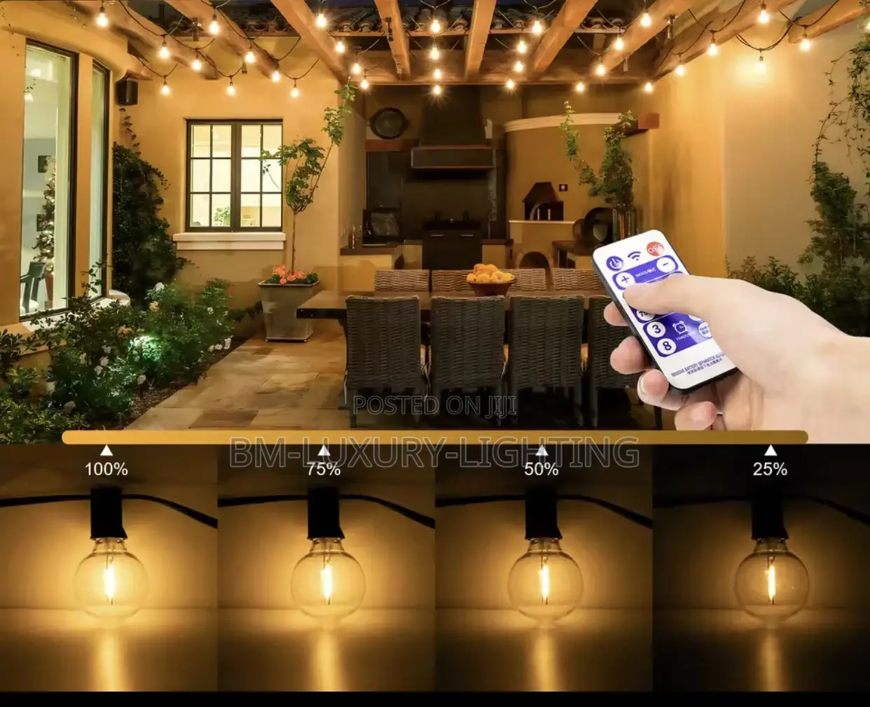 Garden and Backyard Hanging Lights