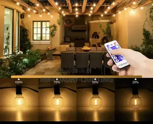 Garden and Backyard Hanging Lights