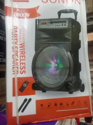 Professional 18" Inches Party Speaker With Microphones