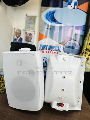 Dart Outdoor/Indoor Speaker