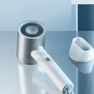 Professional Ionic Portable Quick Hair Dryer