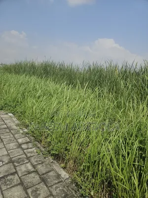 Residential Land Available for Sale at Asokoro Abuja