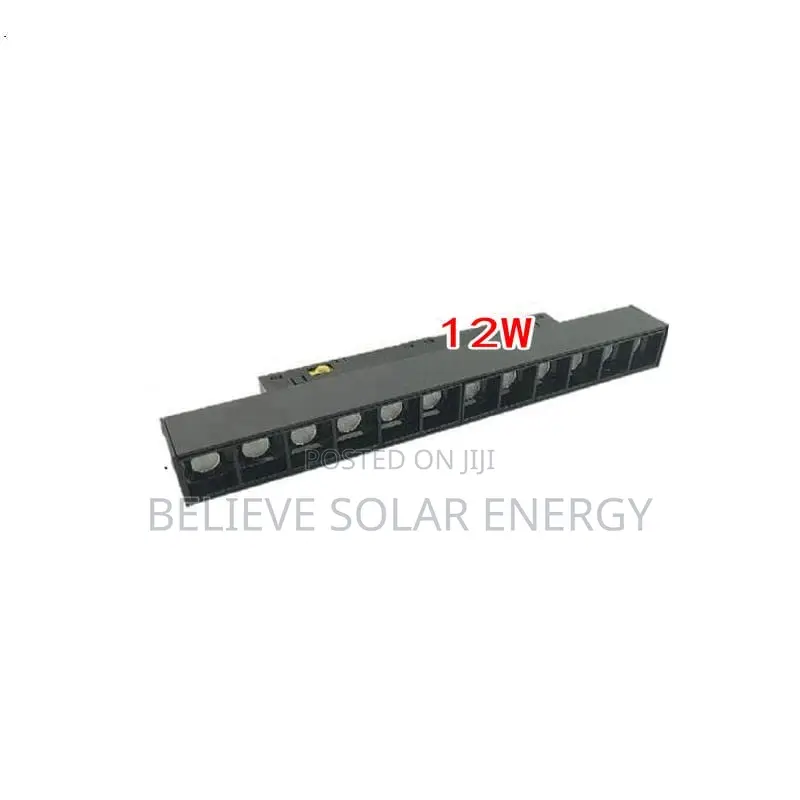 Magnetic Track Light