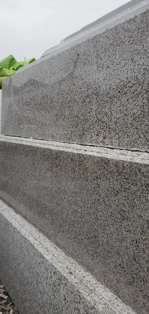 Dotted Brown Granite Marble Slab for Staircase