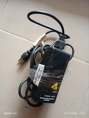 Charger for Motor Wheelchair