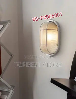Modern Outdoor/Indoor Wall Light