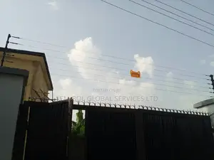 Electric Fence Security Projector