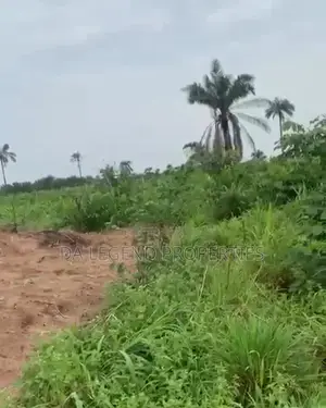 Standard One Plot of Land for Sale