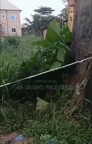 13 Plots of Lands for Sale