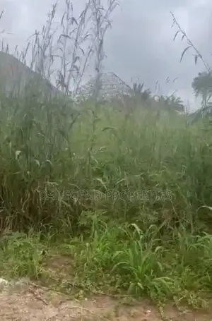 One Plot of Land for Sale